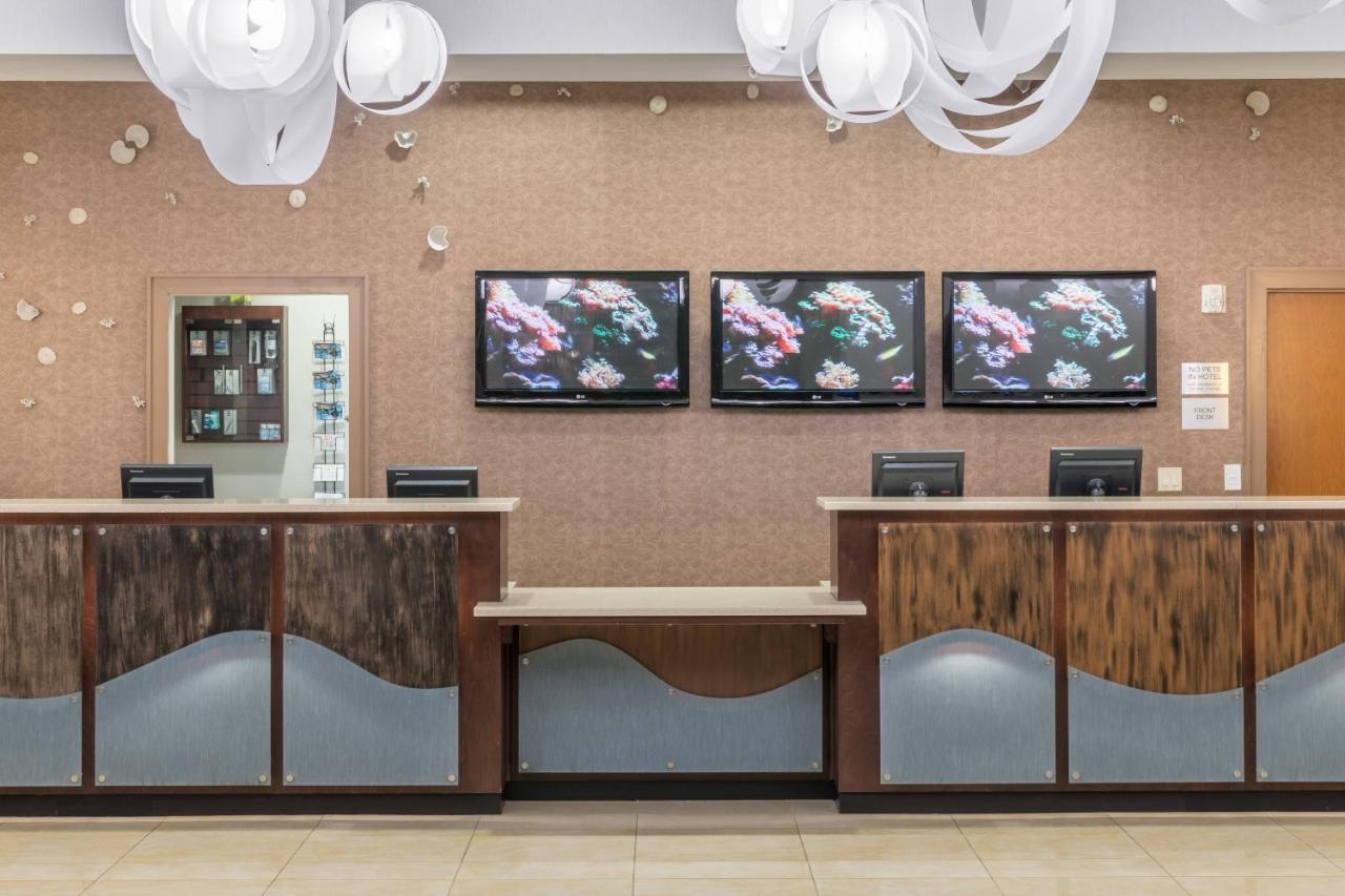 Fairfield Inn Suites By Marriott Orlando At Seaworld Williamsburg Екстериор снимка